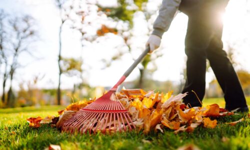 So nutzen Sie Ihren Garten optimal im Herbst